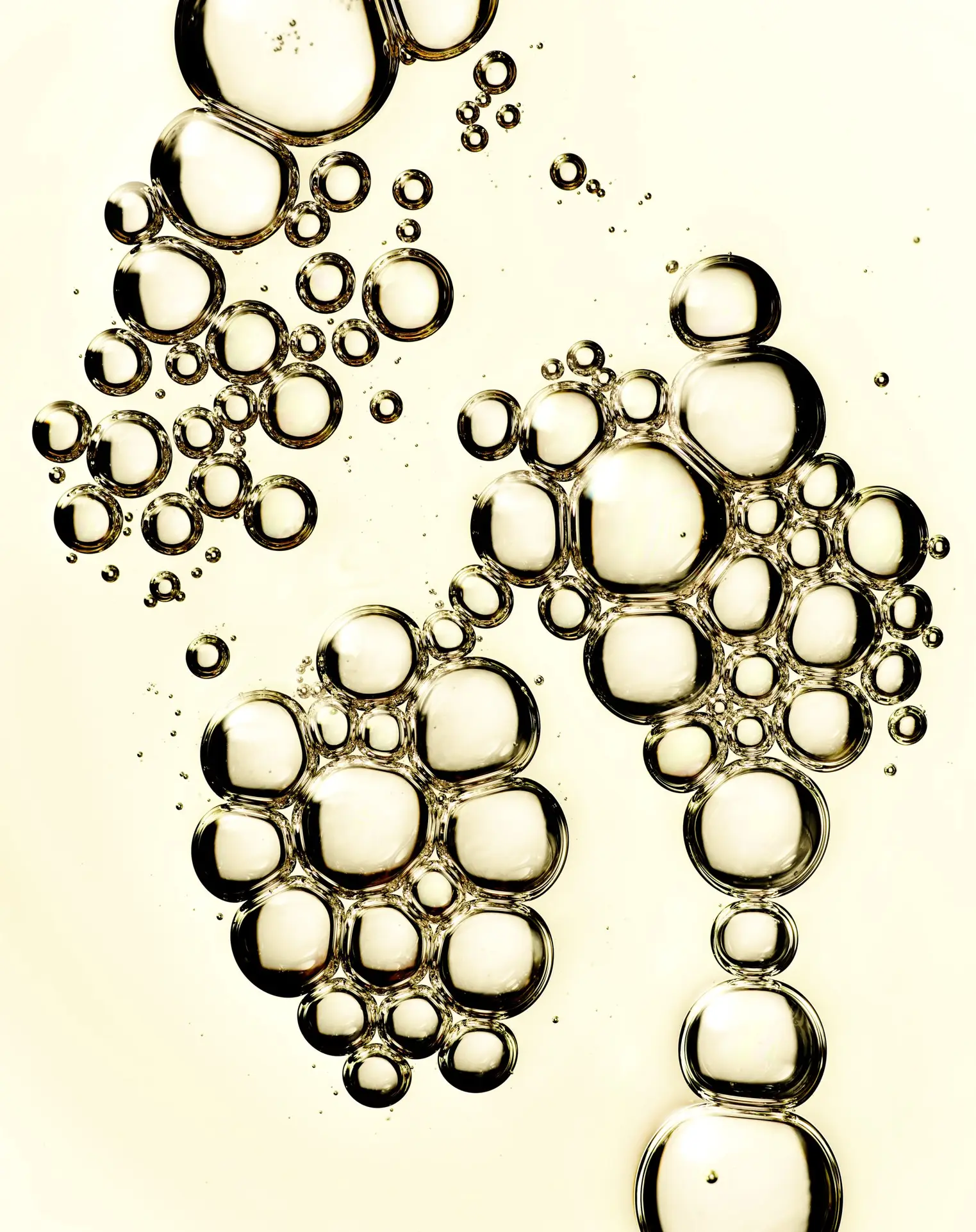 Botanical Face Oil - Armonia - Imagen 2