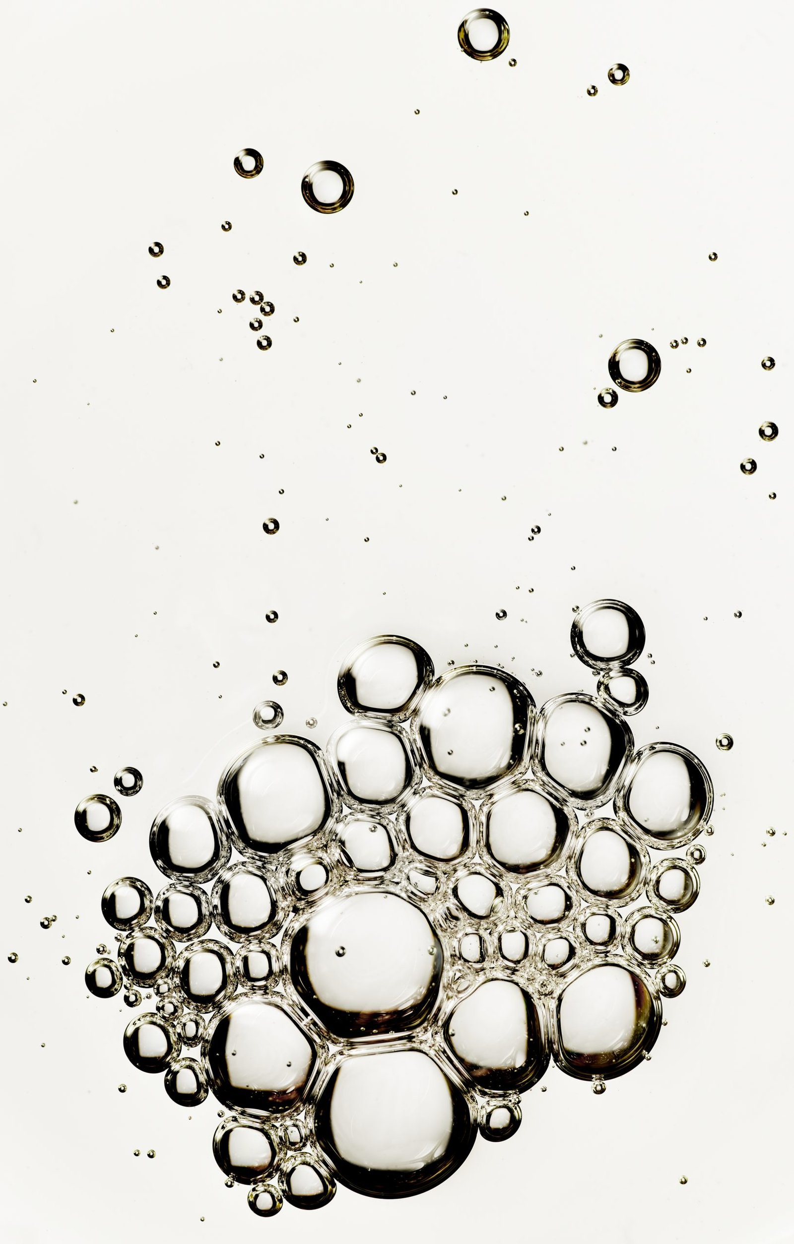Botanical Serum - Chanua - Imagen 2